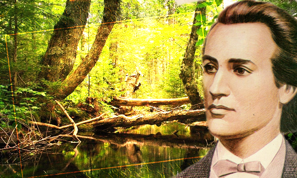 Fiind b&abreve;iet p&abreve;duri cutreieram - Poezie