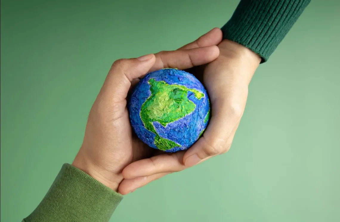 Cum Adopt&abreve; Companiile din Rom&acirc;nia Practici Eco-Friendly